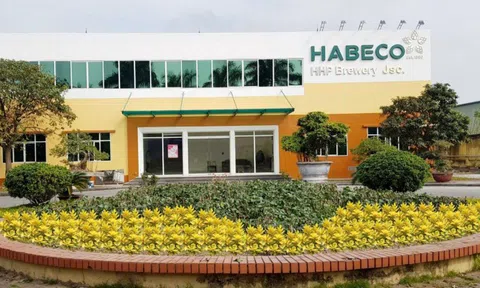 Habeco - Hải Phòng (HBH): Lỗ bán niên năm thứ 3 liên tiếp, rút tiền gửi trả sạch nợ vay
