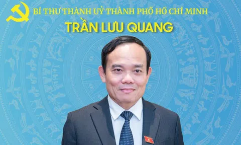 INFOGRAPHICS: Tóm tắt tiểu sử Tân Bí thư Thành uỷ Thành phố Hồ Chí Minh Trần Lưu Quang