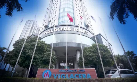 Sau mảng bất động sản, Viglacera (VGC) tiếp tục tái cấu trúc và tinh gọn mảng gạch ốp lát