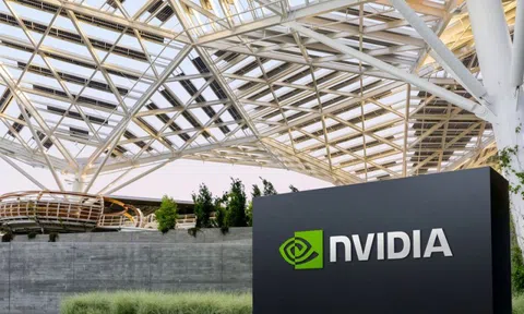 Nvidia Việt Nam tăng vốn gấp 11 lần, tiếp tục mở rộng hoạt động tại thị trường chiến lược