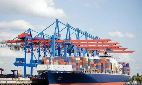 Công ty MHC (MHC) đã thoái toàn bộ vốn tại một công ty con hoạt động trong lĩnh vực dịch vụ vận tải