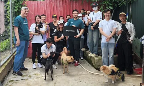 Các tình nguyện viên của Vantage Foundation mang yêu thương và sự chăm sóc đến với những chú chó được giải cứu tại Laws for Paws Vietnam