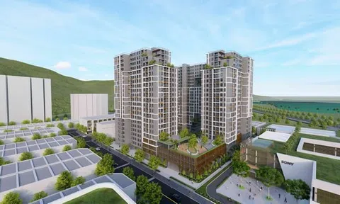 TP HCM chấp thuận 54 doanh nghiệp triển khai dự án nhà ở thương mại