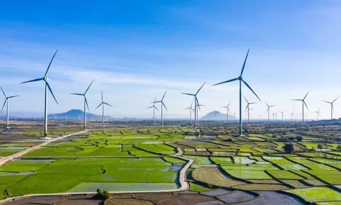 Quảng Trị có thêm dự án điện gió hơn 9.000 tỷ đồng