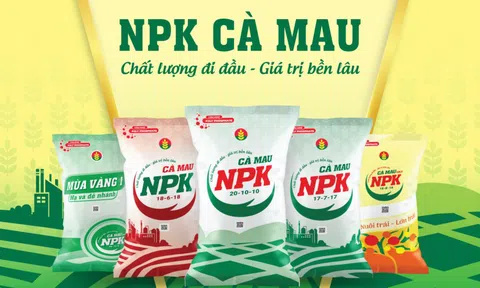 Phân bón Cà Mau (DCM): Nâng chỉ tiêu kinh doanh năm 2025, đặt mục tiêu của năm 2026 'thận trọng'