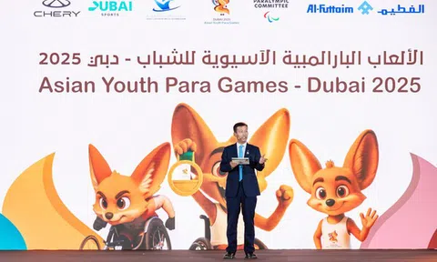 Tạo dựng sự đồng điệu bằng hành động, giữ vững khát vọng ban đầu bằng sự bền bỉ - Thực tiễn ESG của Chery khi đồng hành cùng Đại hội Thể thao Người khuyết tật châu Á
