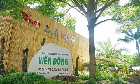 Vi phạm về thuế, hóa đơn, một công ty bị phạt, truy thu thuế hơn 5,7 tỷ đồng