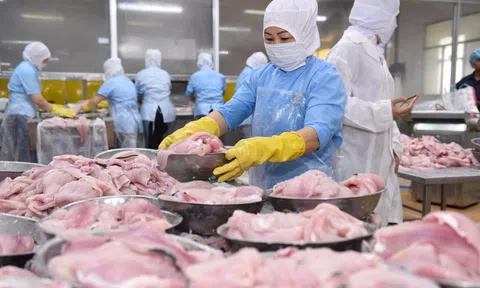 Tập đoàn PAN rút mạnh vốn khỏi kênh đầu tư chứng chỉ tiền gửi