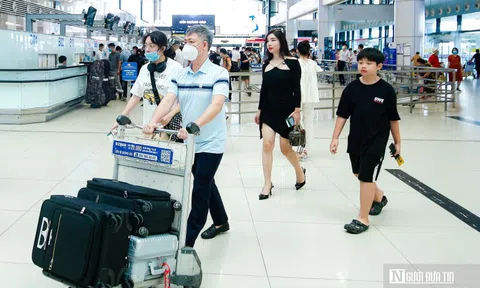 Chưa ghi nhận ca nhiễm virus Nipah, Việt Nam tăng cường giám sát