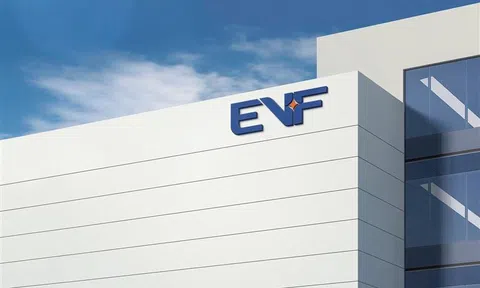 EVN Finance trả lương nhân viên hơn 42 triệu đồng/tháng