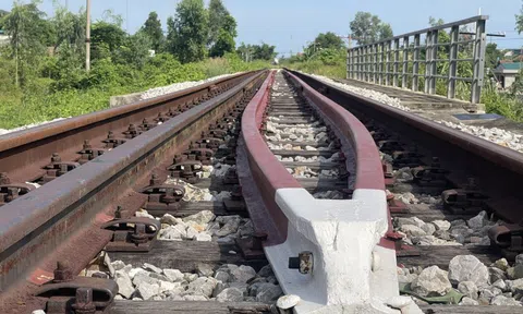 Đường sắt cao tốc Hà Nội - Quảng Ninh sắp khởi công: 30 phút mở ra hành lang phát triển mới