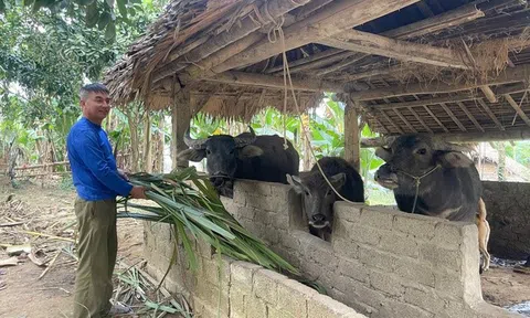 Khi chính sách đến vùng khó – Kỳ 2: Có mái nhà, nhưng con đường thoát nghèo vẫn gian nan