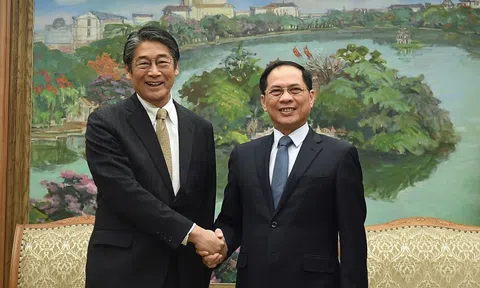Phó Thủ tướng Bùi Thanh Sơn tiếp Đại sứ Nhật Bản Ito Naoki