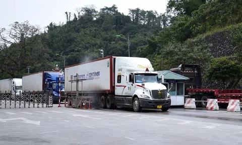 Tạm dừng áp dụng Nghị định 46 về an toàn thực phẩm đến hết ngày 15/4/2026