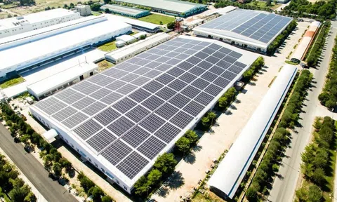 Điều gì đang “níu chân” Bamboo Capital và Tracodi khi liên tiếp hoãn BCTC kiểm toán?