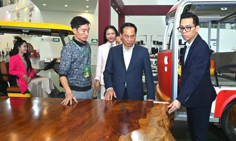 Ngắm phản gỗ quý Cẩm Lai ngàn năm tuổi nặng 6 tấn, giá trị hàng tỉ đồng