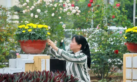 Nỗi day dứt và niềm tin của nữ phạm nhân gần 20 năm đón Tết trong trại giam