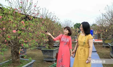 Tận hưởng Tết trọn vẹn, chuyên gia tim mạch cảnh báo 5 điều tránh đột quỵ