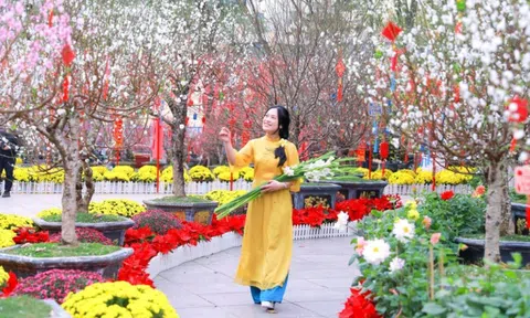 Miền Bắc đón không khí lạnh dồn dập, trời trở rét ngày cuối năm