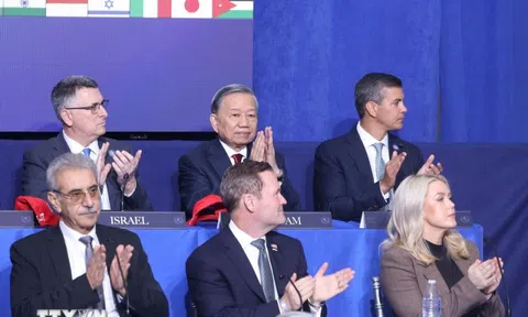 VỊ THẾ VÀ UY TÍN CỦA VIỆT NAM TRONG NỖ LỰC KIẾN TẠO HÒA BÌNH QUỐC TẾ