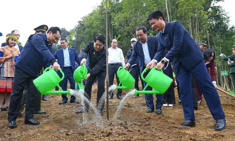 Chủ tịch nước dự lễ phát động Tết trồng cây năm 2026