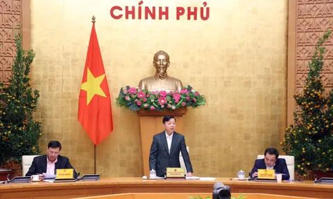 Gỡ 'thẻ vàng' IUU: Rà soát toàn diện, sẵn sàng cho đợt kiểm tra của EC