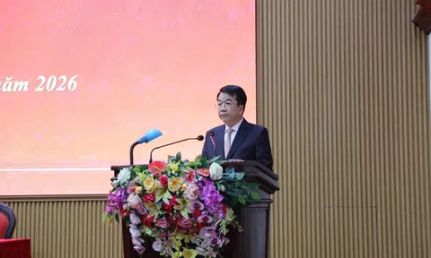 Phê chuẩn kết quả bầu, miễn nhiệm chức vụ Chủ tịch Ủy ban nhân dân tỉnh Ninh Bình