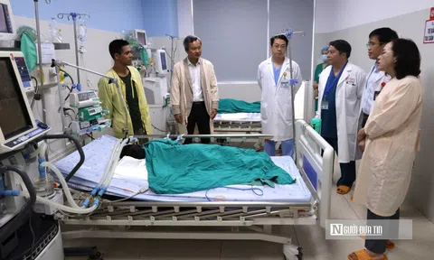 Cuộc chạy đua đưa "thần dược" giải độc 8.000 USD cứu bệnh nhi ngộ độc cá ủ chua