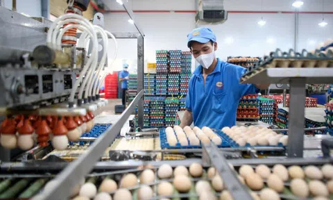 Nỗ lực giữ giá hàng hóa