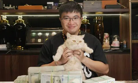 Toàn bộ quá trình xây dựng "đế chế" lừa đảo Mr Pips