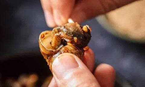 Một món ăn quen thuộc dễ là "ổ ký sinh trùng" ẩn náu, giới trẻ mê tít