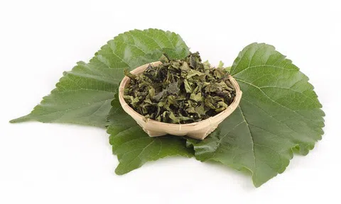 Đừng chỉ ăn quả, lá cây này quý như "nhân sâm của người nghèo", đang vào mùa đi chợ là thấy