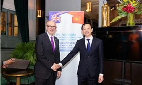 Việt Nam - Vương quốc Anh đẩy mạnh hợp tác y tế dự phòng