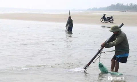 Cận cảnh nhọc nhằn nghề khom lưng trong sóng biển kiếm ngao mưu sinh