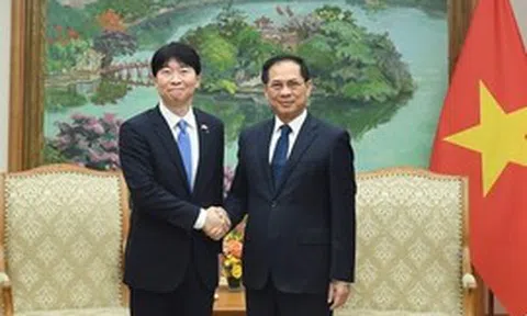 Phó Thủ tướng Bùi Thanh Sơn tiếp Thống đốc tỉnh Okayama (Nhật Bản)