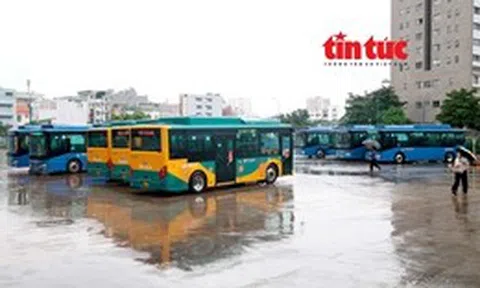 Miễn phí xe buýt ở TP Hồ Chí Minh: Bước đột phá cho giao thông công cộng