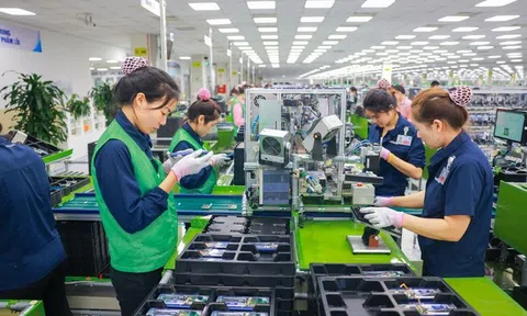 Tái định vị dịch vụ việc làm trung gian để "giải cơn khát" cho thị trường lao động