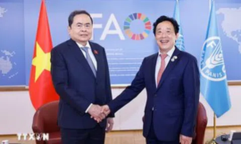 Thúc đẩy hợp tác nông nghiệp, an ninh lương thực giữa Việt Nam và FAO