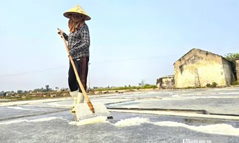 Phơi mình dưới nắng gắt sản xuất "vàng trắng"