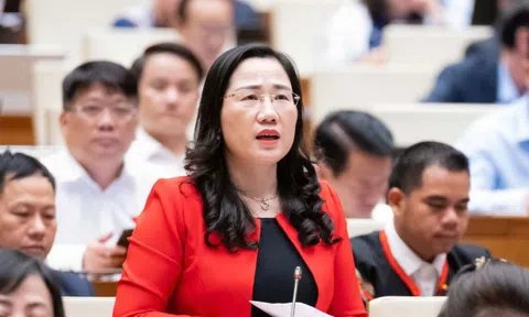 ĐBQH đề nghị nghiêm cấm xếp chương trình học liên kết xen kẽ giờ chính khoá