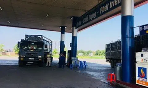 3 doanh nghiệp đầu mối xăng dầu bị phạt