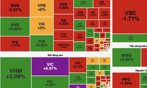 VN-Index bật tăng gần 24 điểm nhờ lực kéo trụ