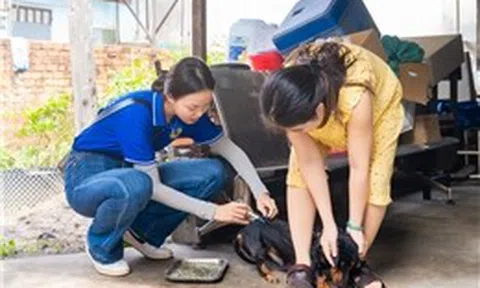 TP Hồ Chí Minh tăng cường phòng, chống bệnh dại trong cao điểm nắng nóng