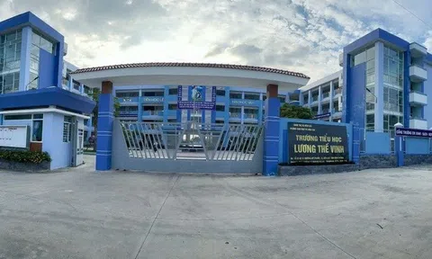 Vụ cô giáo phạt học sinh dùng kim tiêm chích vào tay: Làm rõ trách nhiệm người đứng đầu nhà trường