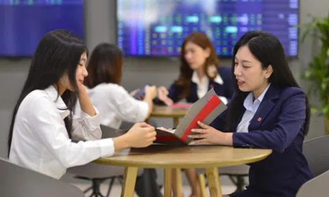 Lợi nhuận toàn ngành môi giới chứng khoán phân hóa mạnh