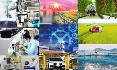 Khát vọng hùng cường và tầm nhìn mới về đại học
