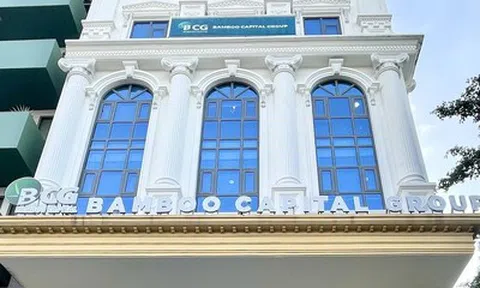 Bamboo Capital nêu 3 nguyên nhân khiến báo cáo tài chính chậm công bố