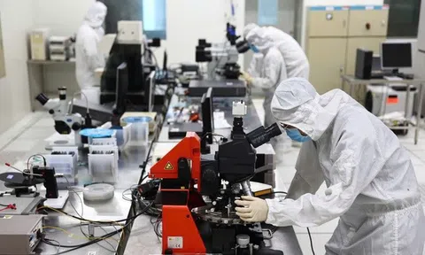 Đến năm 2030 hình thành khoảng 30 nhóm nghiên cứu mạnh về khoa học tự nhiên
