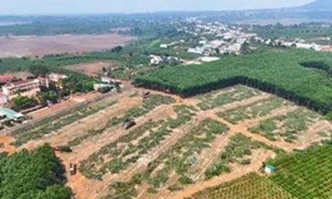 Tái định cư đồng bộ để giữ tiến độ cao tốc Quy Nhơn – Pleiku