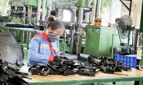 Chủ tịch Cao su Bến Thành xin từ nhiệm trước thềm Đại hội cổ đông